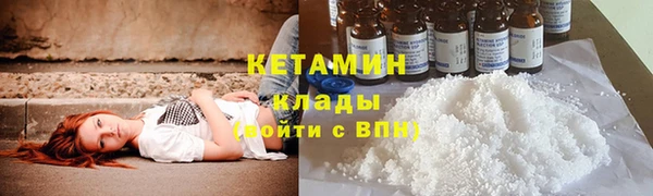 ПСИЛОЦИБИНОВЫЕ ГРИБЫ Вязники